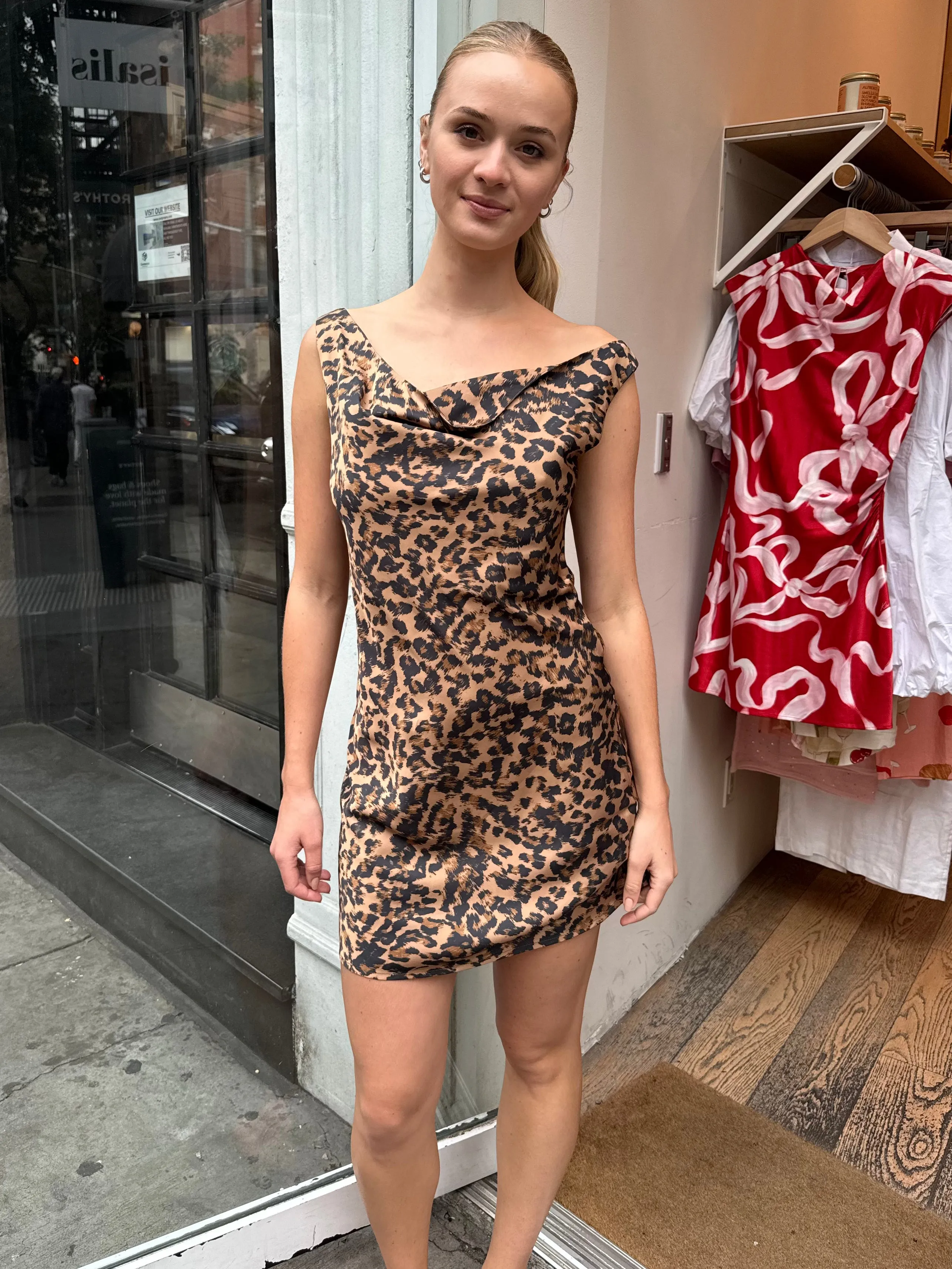 Aralise Dress in Leopard