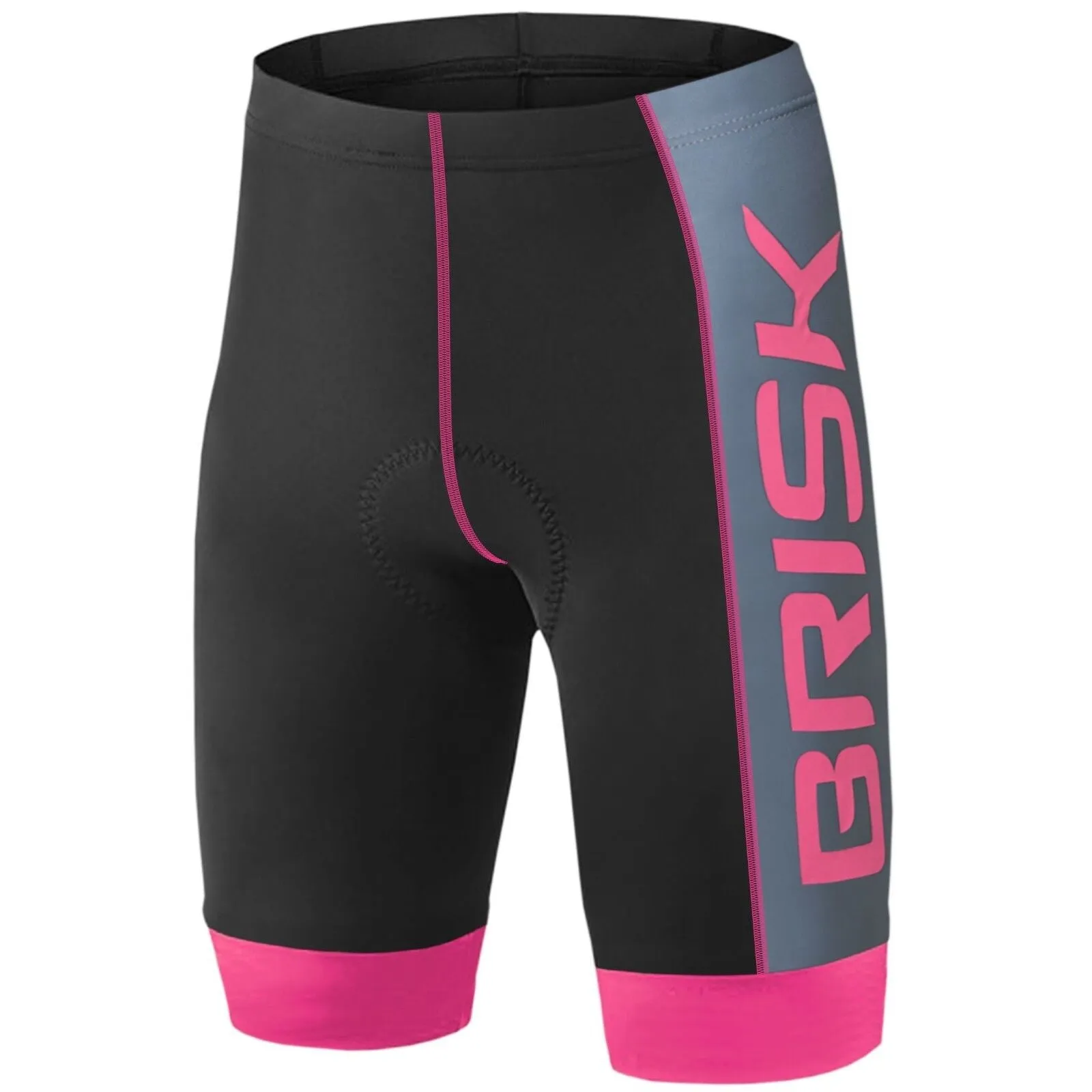 Brisk Bike Compression Padded Cycling Shorts Cycling Shorts for Biking & Hiking, mens bike shorts padded,mountain bike shorts with padding, mens cycling compression shorts, bike riding shorts with padding