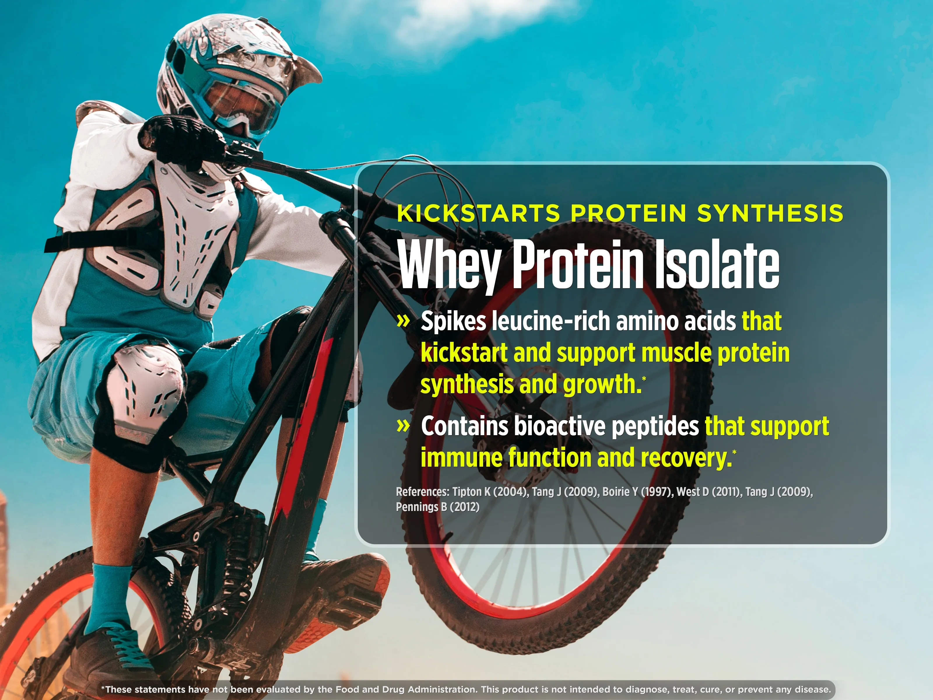 FINi Protein-Energy Bar