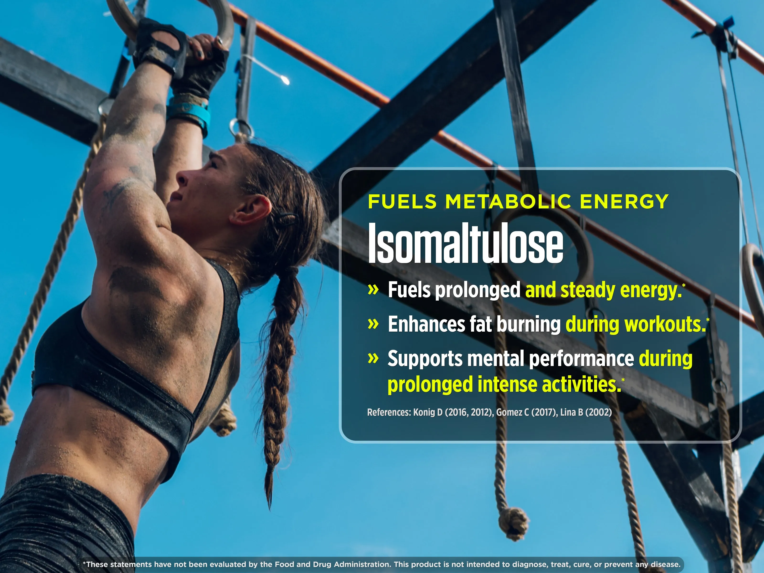 FINi Protein-Energy Bar