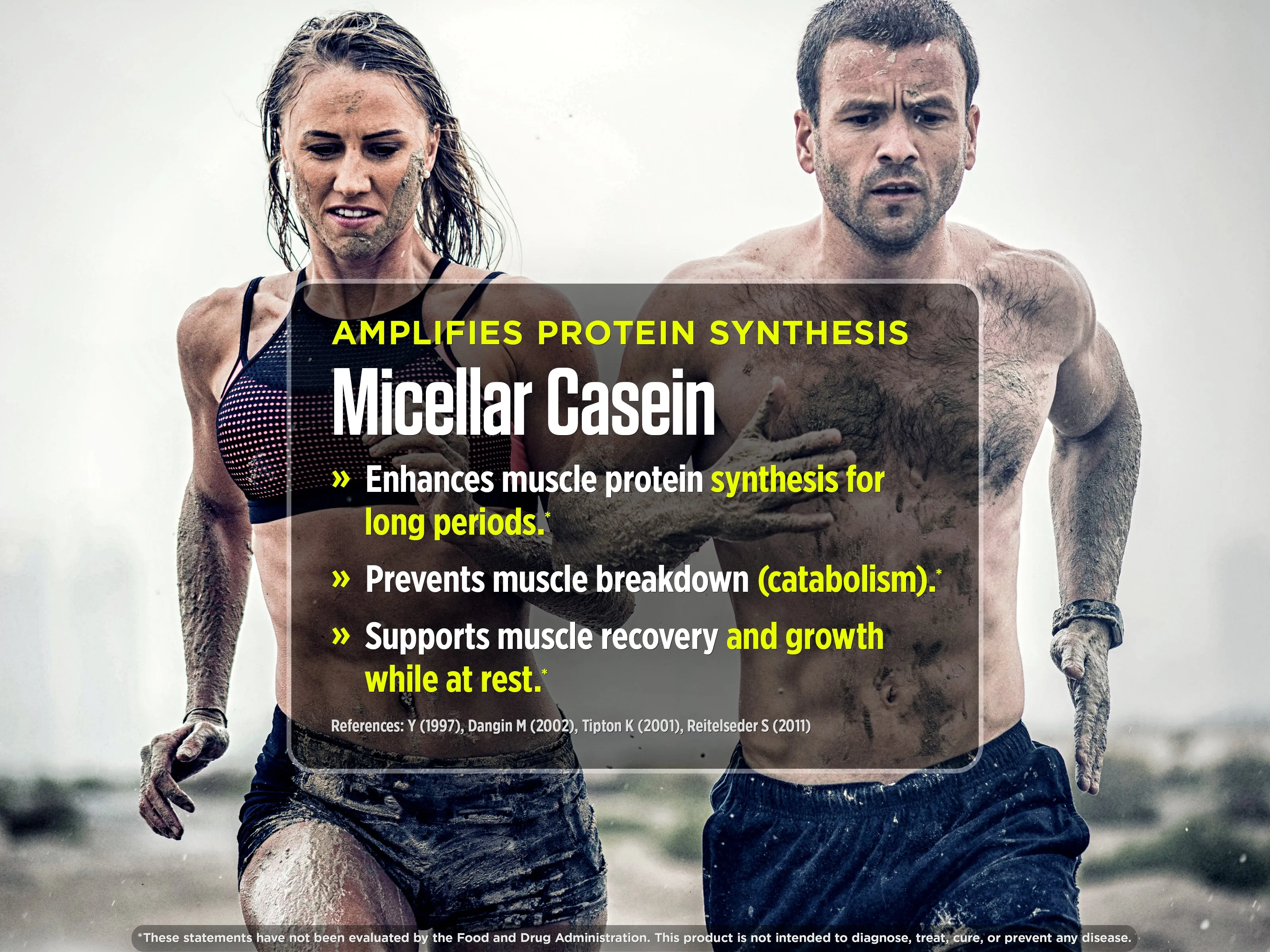 FINi Protein-Energy Bar