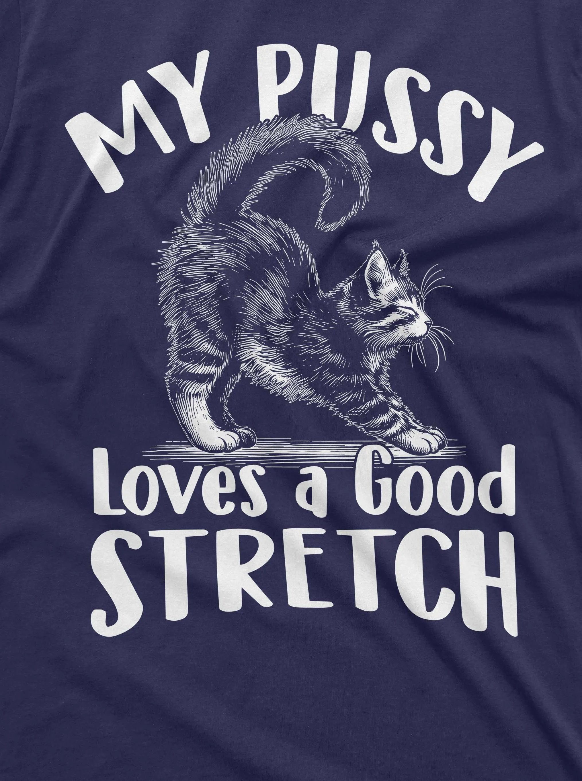 Funny Cat inappropriate T-shirt my pussy loves a good stretch dual meaning humor tee shirt