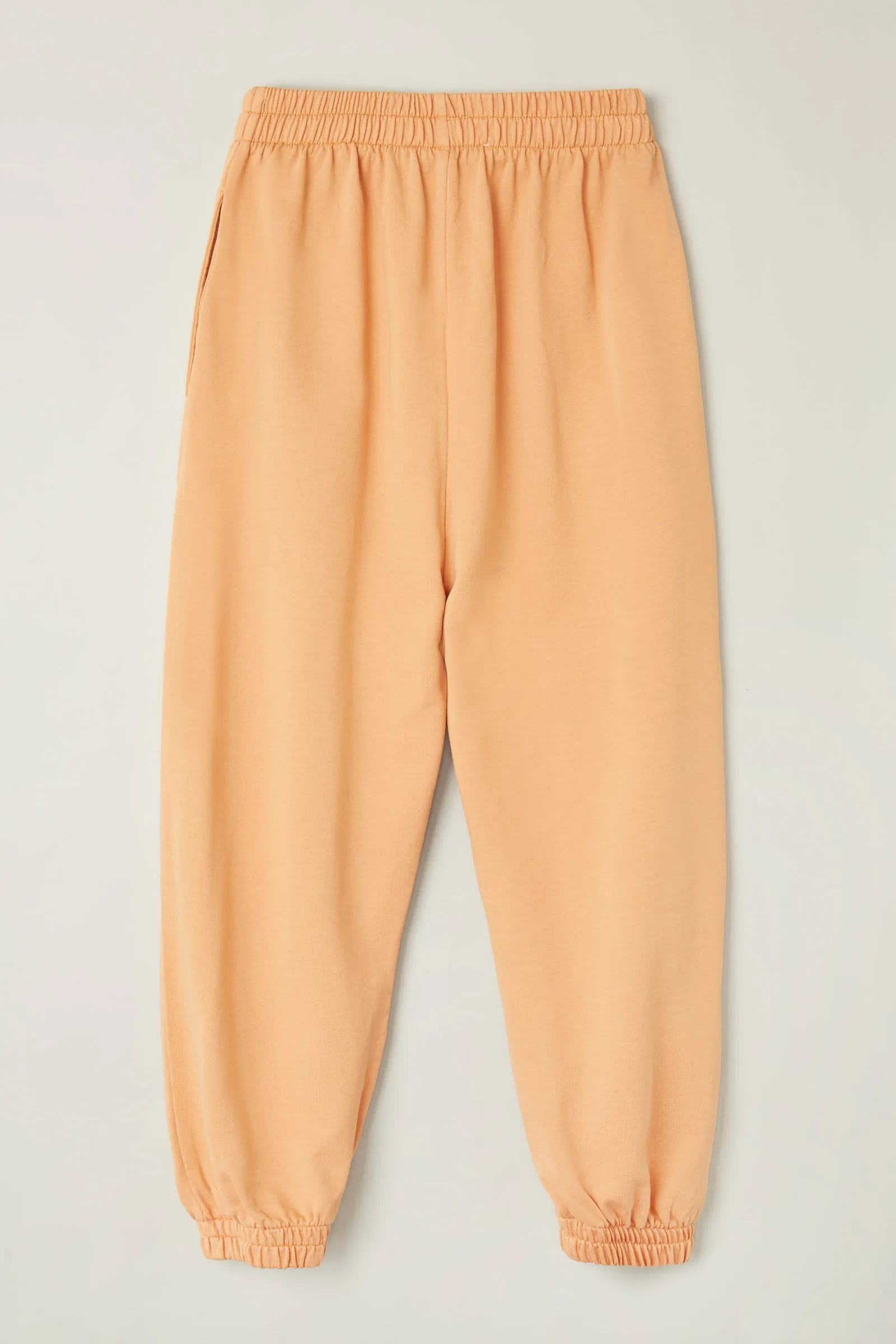 Jogging Pant - Gold Earth
