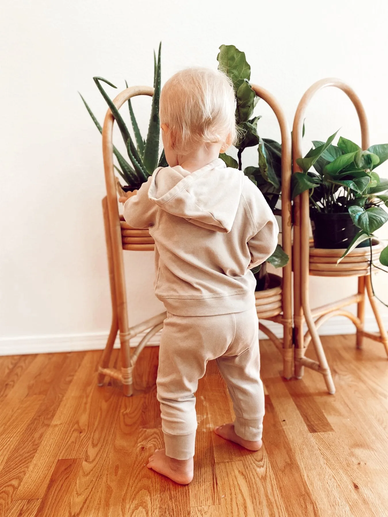 Organic Joggers - Clay