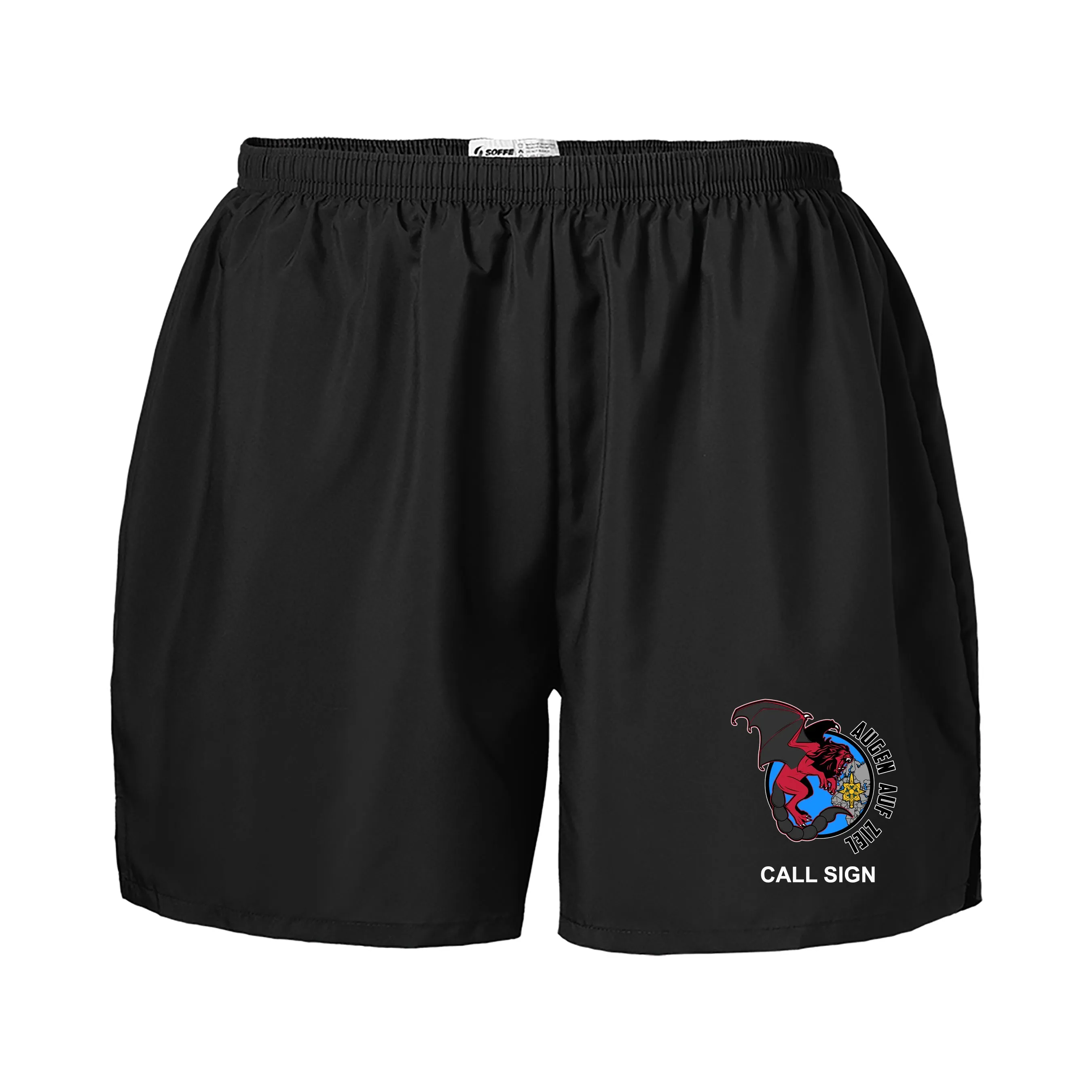 PT Shorts. These Shorts are NOT Approved for PT
