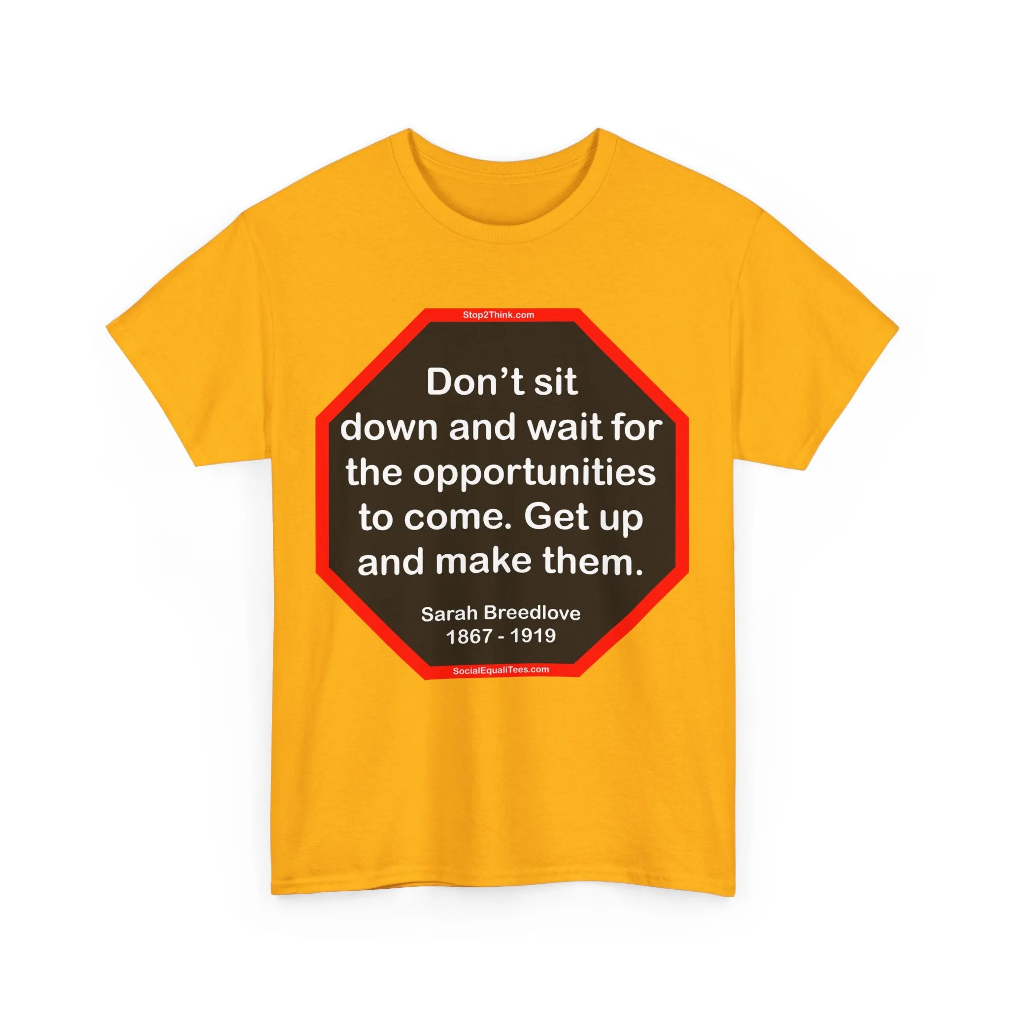 S2T- Don’t sit down and wait for the opportunities to come. Get up and make them.  -  Sarah Breedlove  1867 - 1919 - blks2t