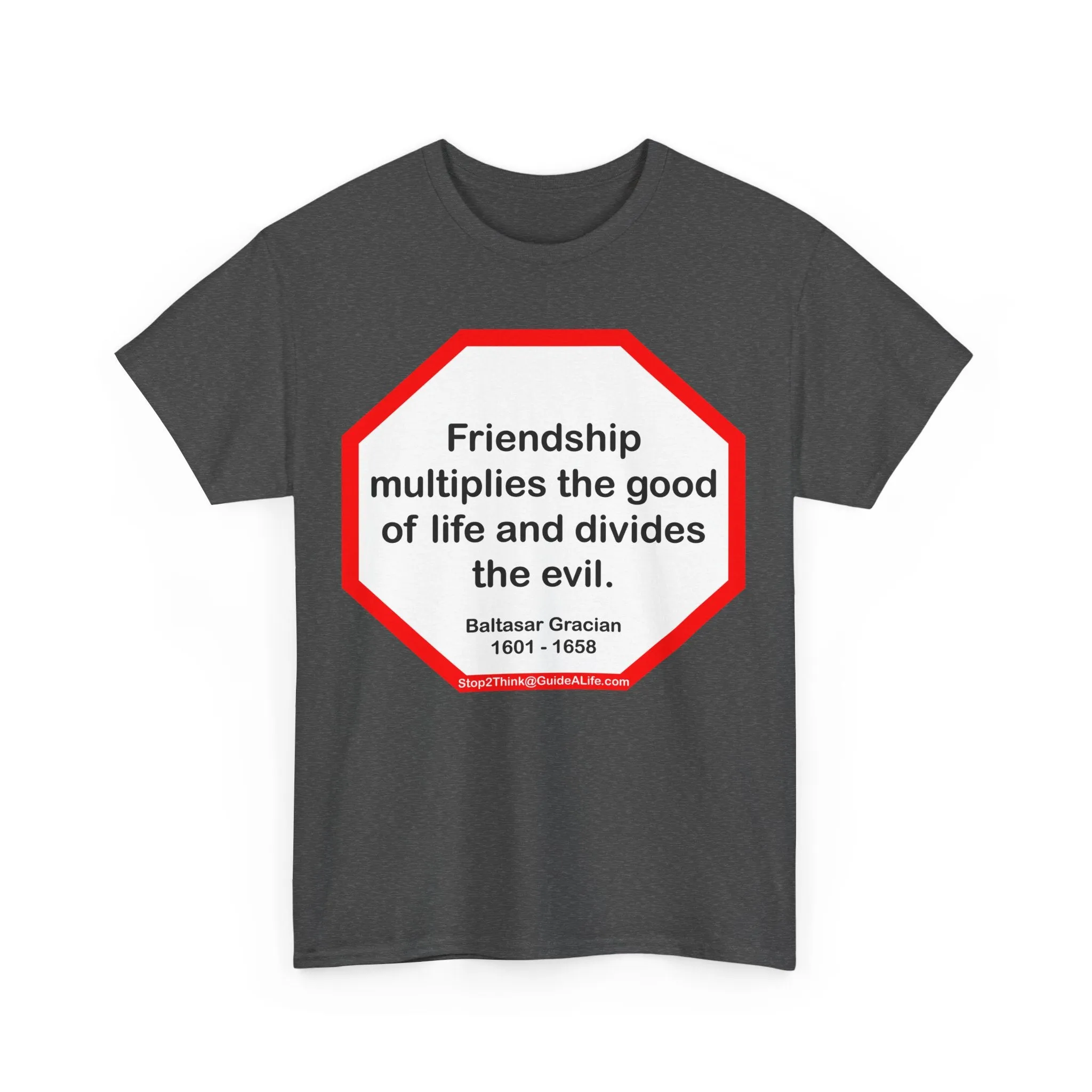 S2T- Friendship multiplies the good of life and divides the evil.    -  Baltasar Gracian  1601 - 1658