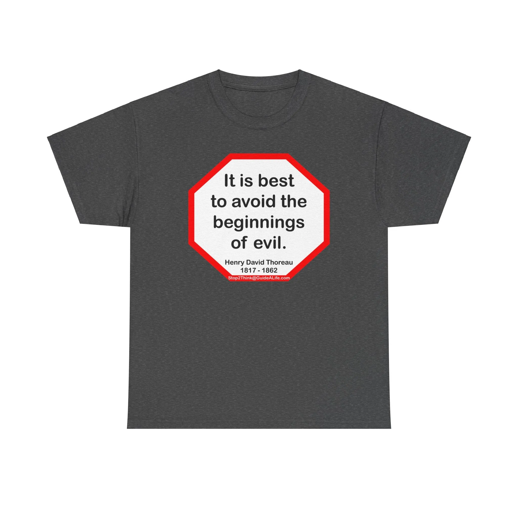 s2t- It is best to avoid the beginnings of evil.  -  Henry David Thoreau  1817 - 1862