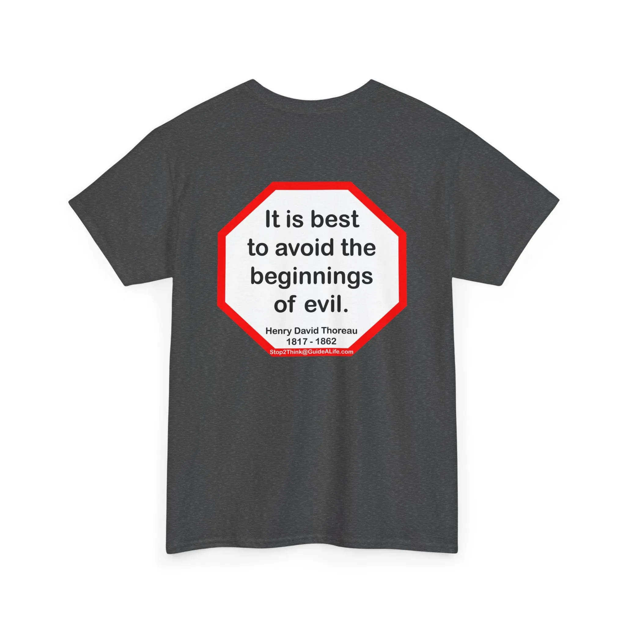 s2t- It is best to avoid the beginnings of evil.  -  Henry David Thoreau  1817 - 1862