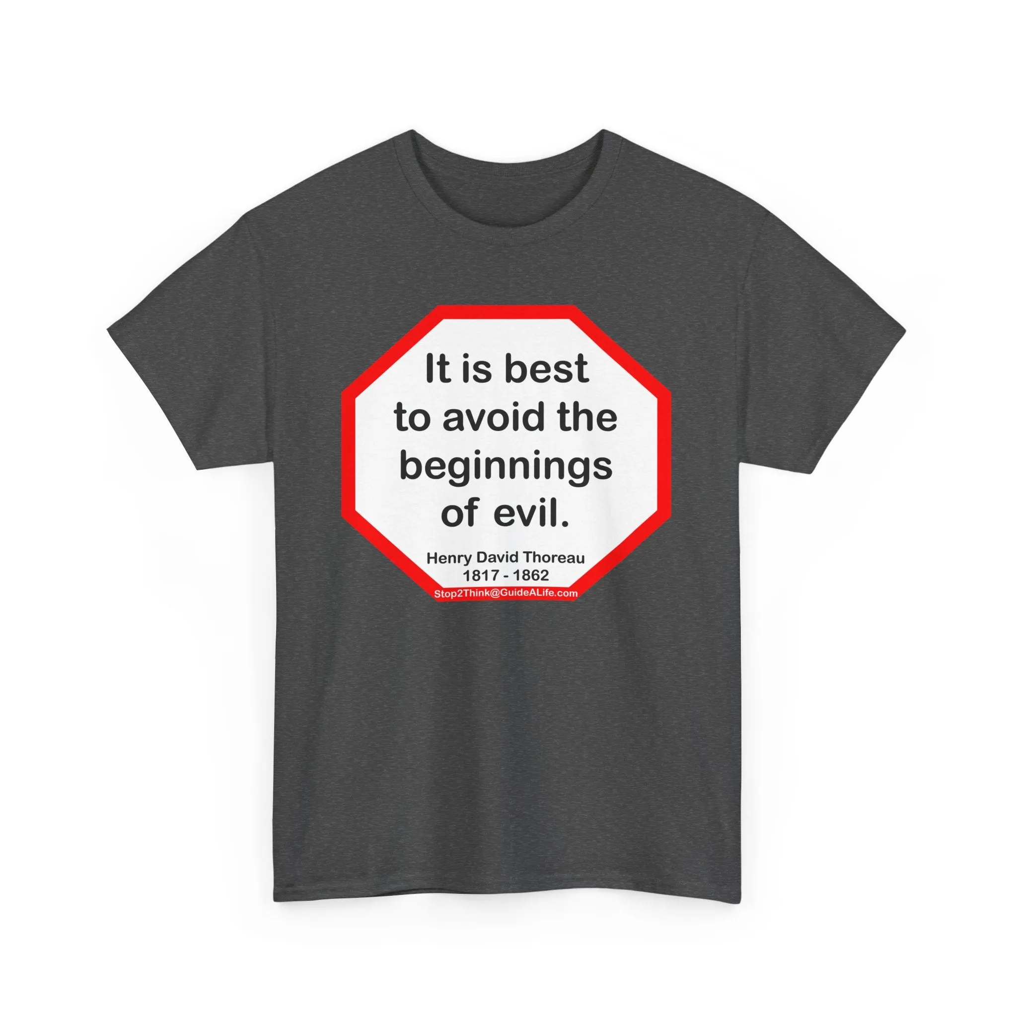 s2t- It is best to avoid the beginnings of evil.  -  Henry David Thoreau  1817 - 1862