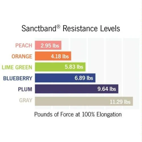 Sanctband Resistance Band (Work From Home Bundle)