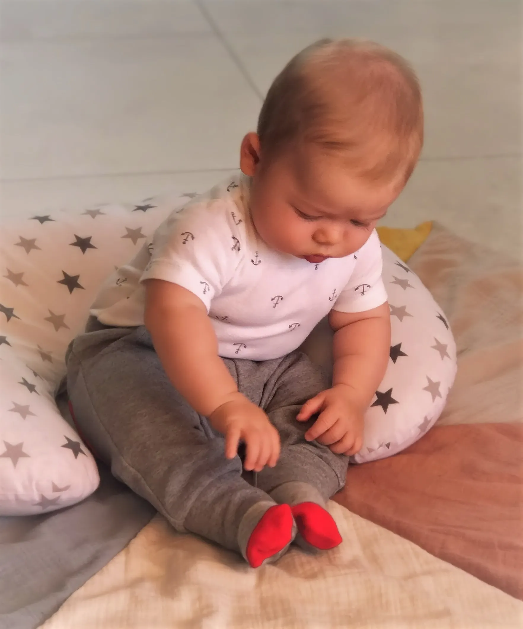 Sockatoos Original Joggers - RED