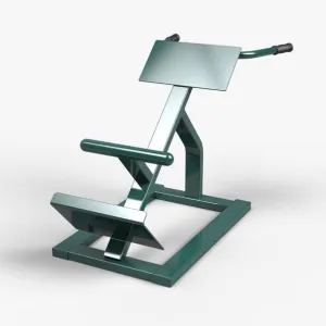 TriActive USA Back Extension