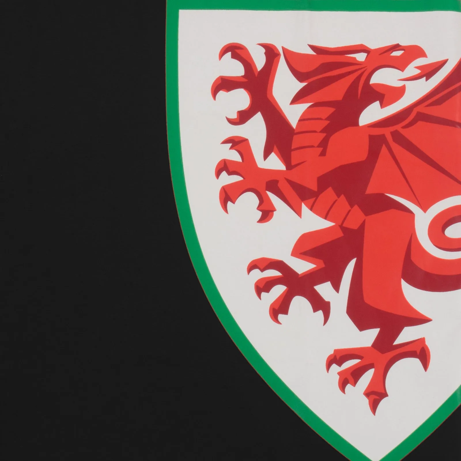 Wales T-Shirt Mens