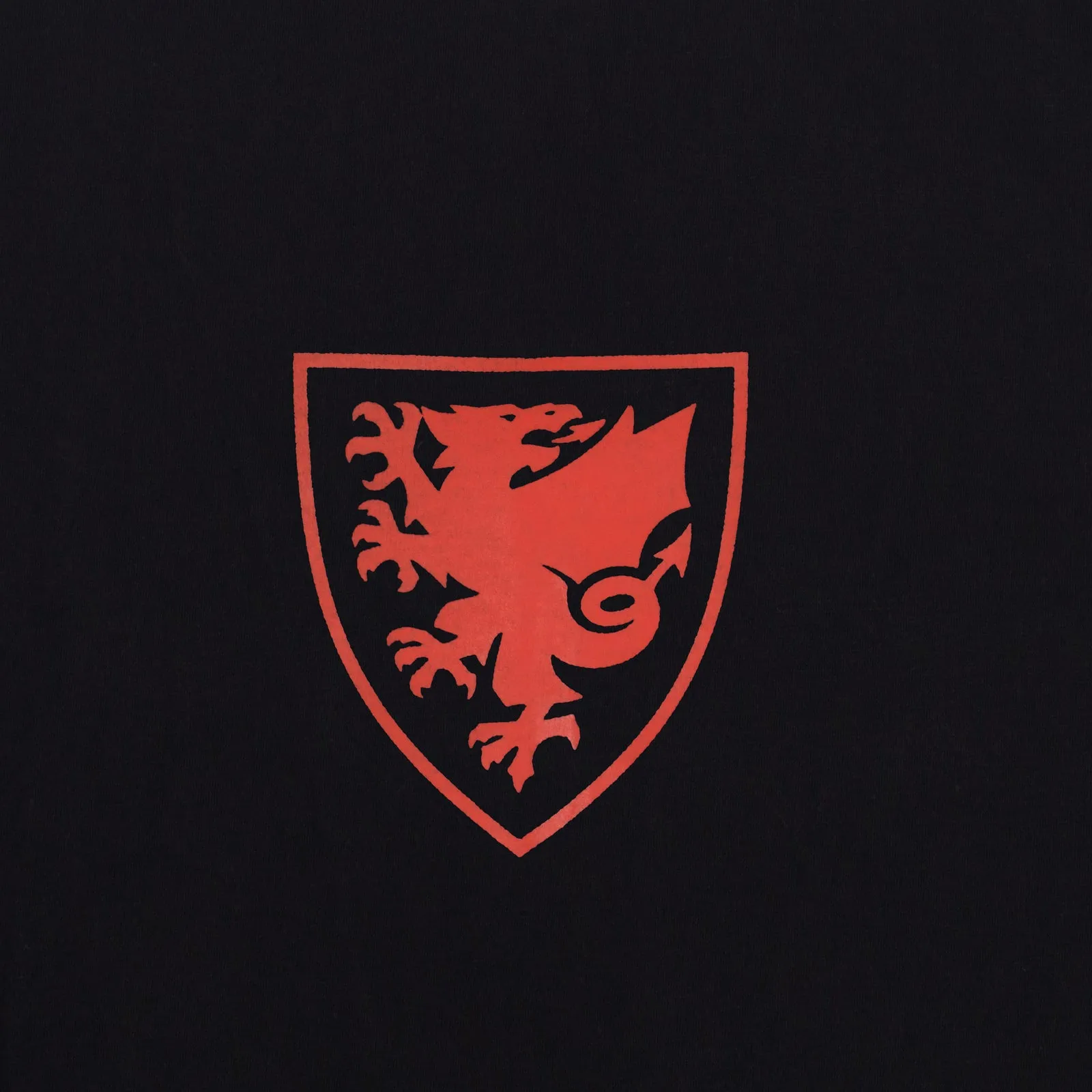 Wales T-Shirt Mens