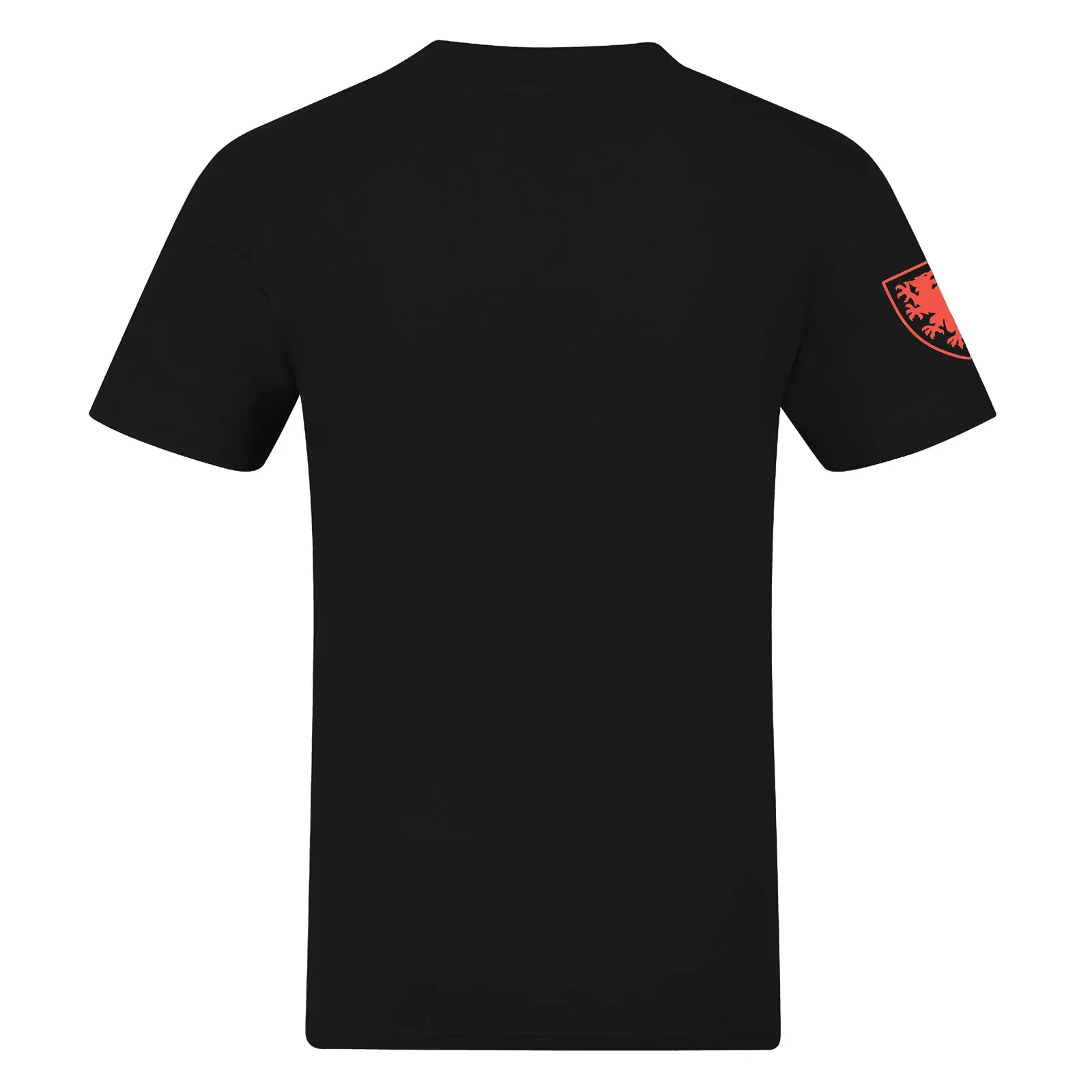 Wales T-Shirt Mens
